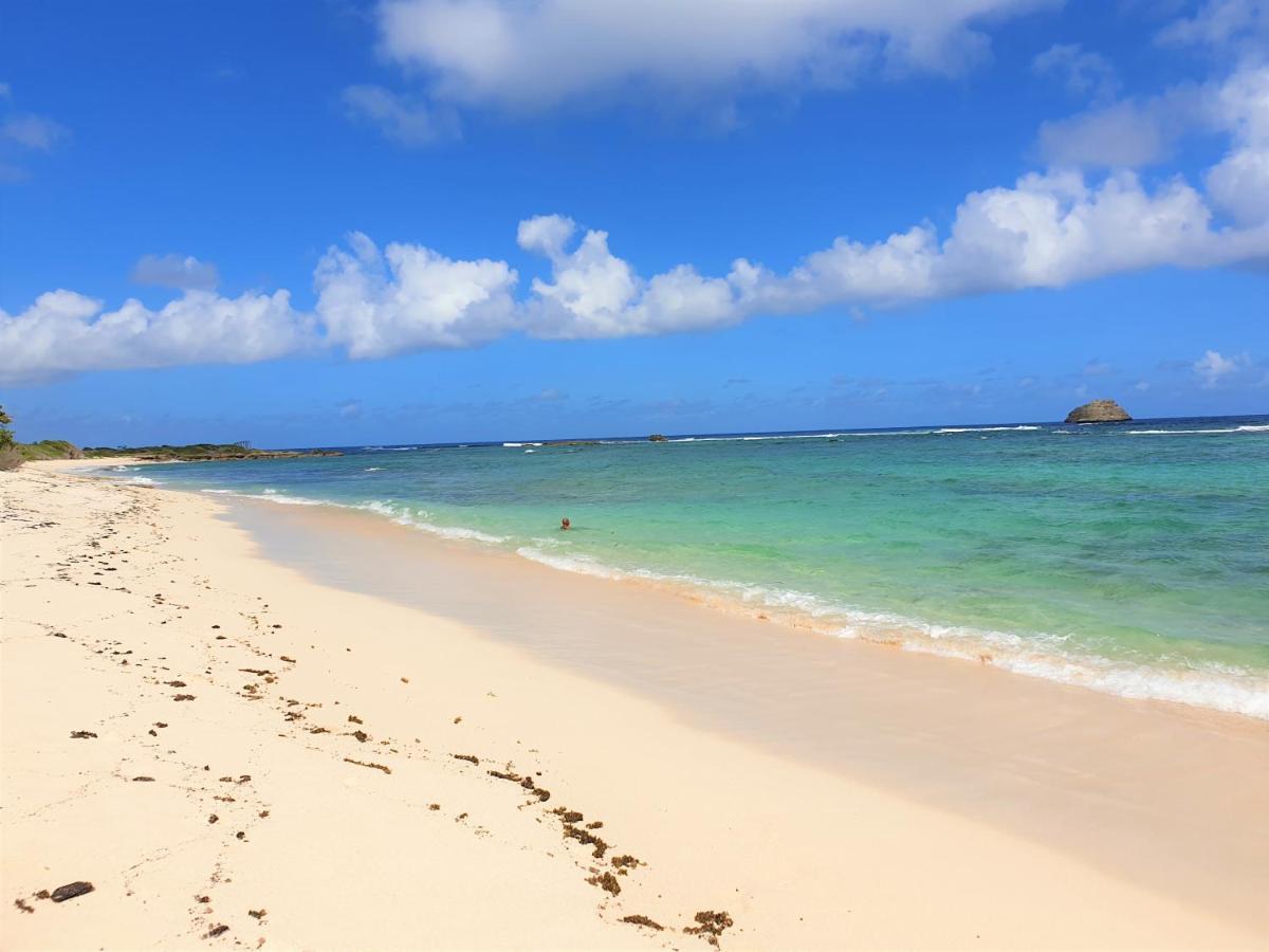Villa Guadeloupe Saint Francois Acces Mer Piscine Iguana Bay - Villa Zagadi Kültér fotó
