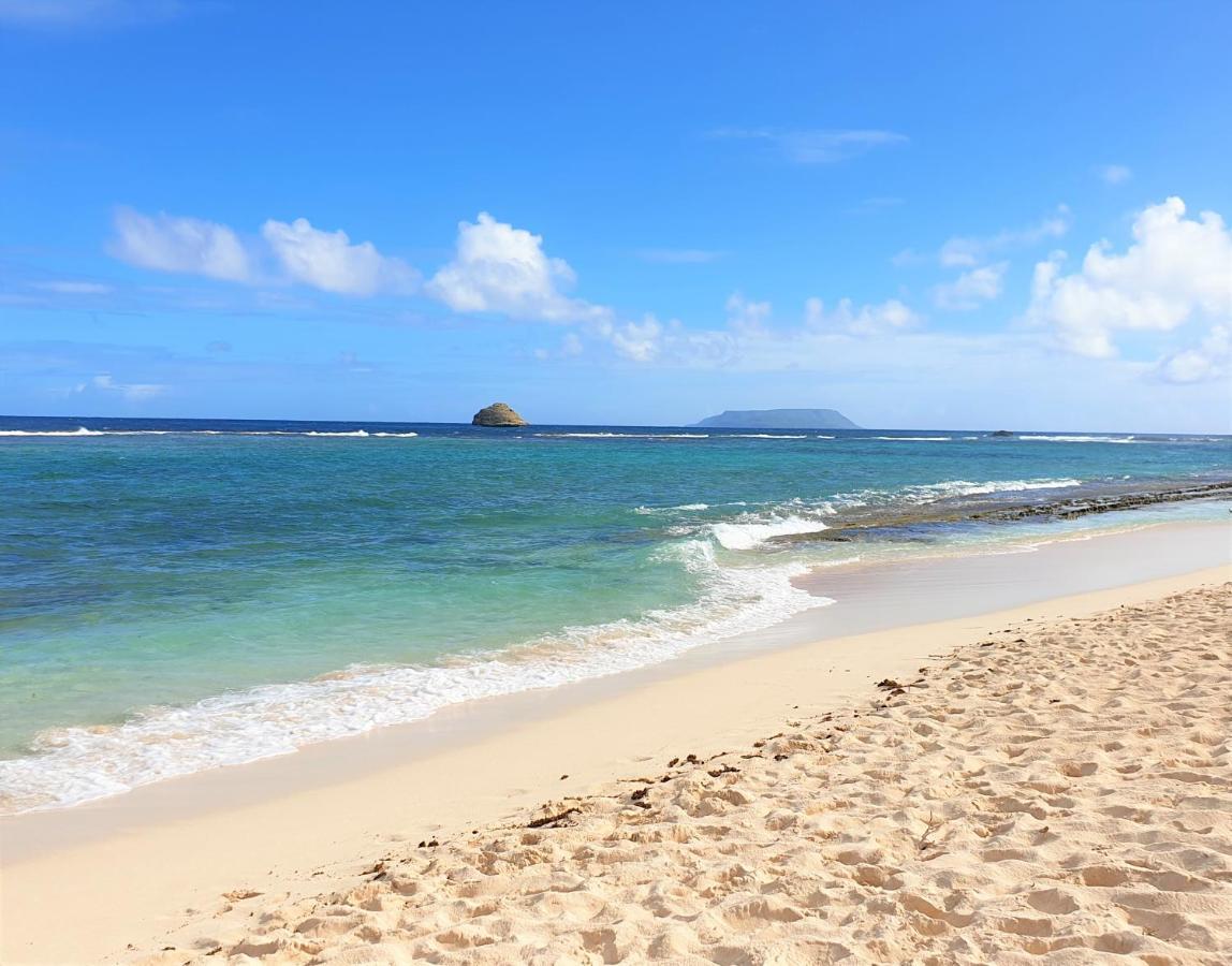 Villa Guadeloupe Saint Francois Acces Mer Piscine Iguana Bay - Villa Zagadi Kültér fotó