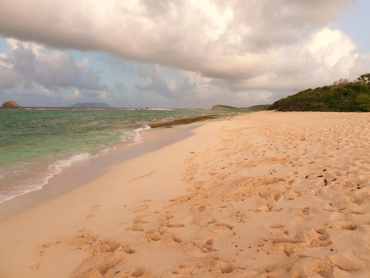 Villa Guadeloupe Saint Francois Acces Mer Piscine Iguana Bay - Villa Zagadi Kültér fotó