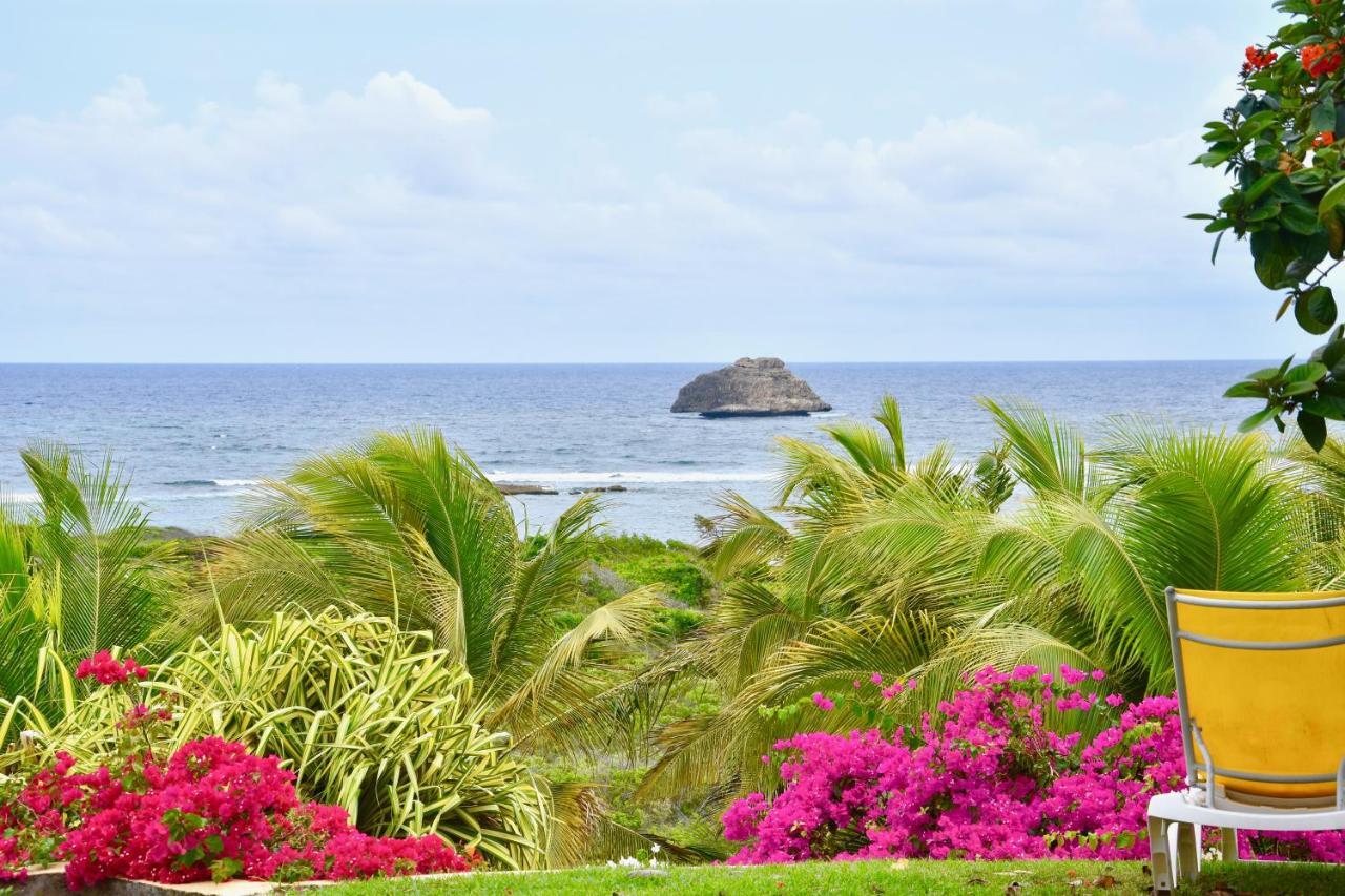 Villa Guadeloupe Saint Francois Acces Mer Piscine Iguana Bay - Villa Zagadi Kültér fotó