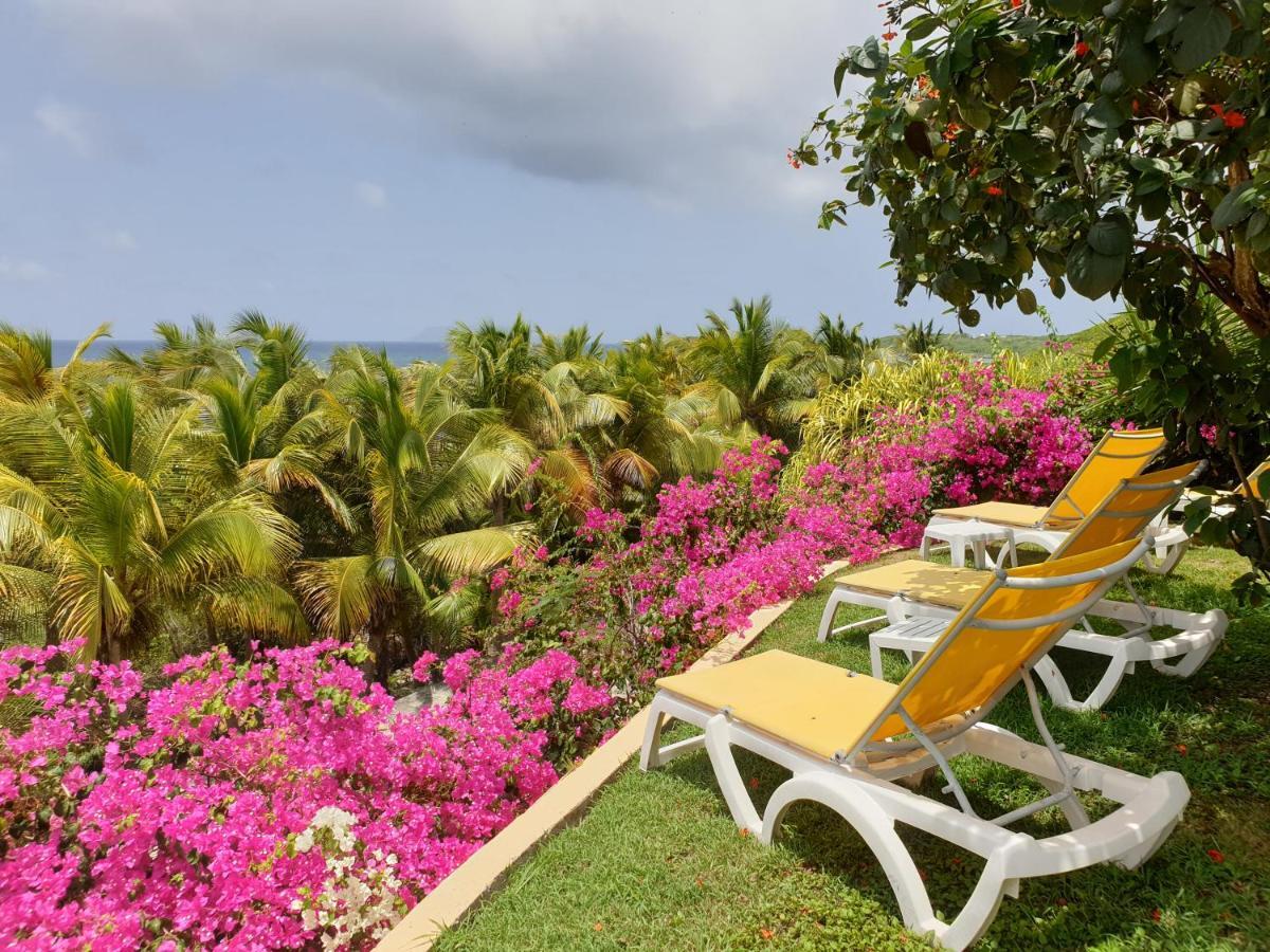 Villa Guadeloupe Saint Francois Acces Mer Piscine Iguana Bay - Villa Zagadi Kültér fotó