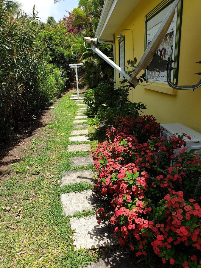 Villa Guadeloupe Saint Francois Acces Mer Piscine Iguana Bay - Villa Zagadi Kültér fotó