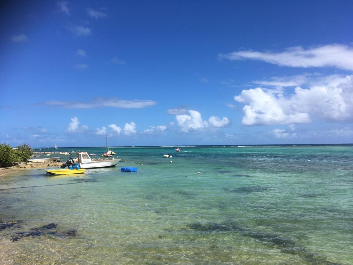 Villa Guadeloupe Saint Francois Acces Mer Piscine Iguana Bay - Villa Zagadi Kültér fotó