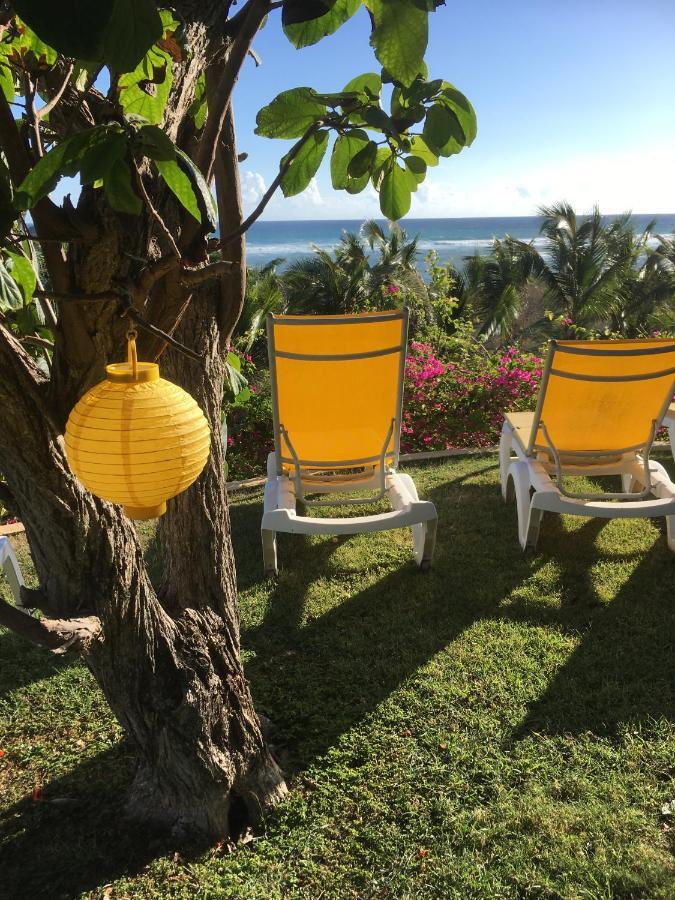 Villa Guadeloupe Saint Francois Acces Mer Piscine Iguana Bay - Villa Zagadi Kültér fotó