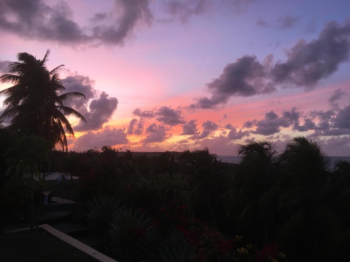 Villa Guadeloupe Saint Francois Acces Mer Piscine Iguana Bay - Villa Zagadi Kültér fotó